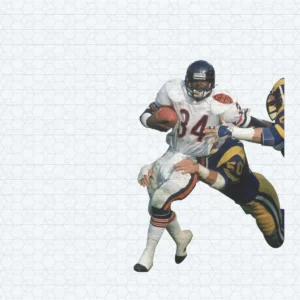 vintage with a bold and dynamic feel, reflecting the rich history of the Bears Bears classic SVG design showing pride for Cricut and Silhouette cutting machines