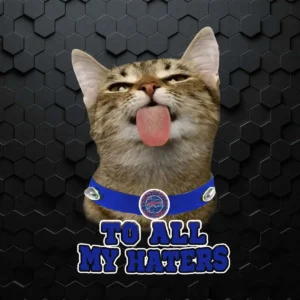 Buffalo Bills To All My Haters Cat Pussy Lick PNG Cat Lovers