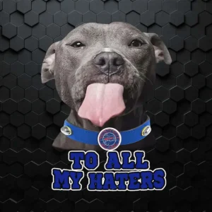 Buffalo Bills To All My Haters Dog Licking  Dog PNG